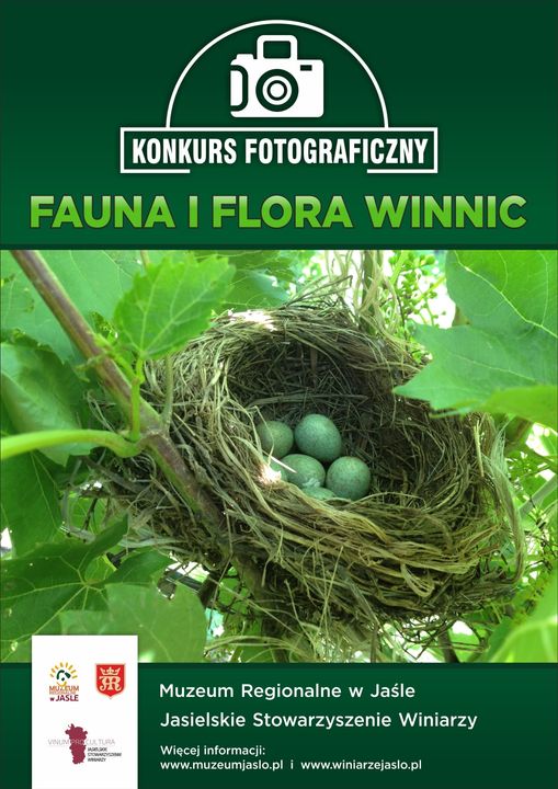 fauna i flora winnic konkurs fotograficzny
